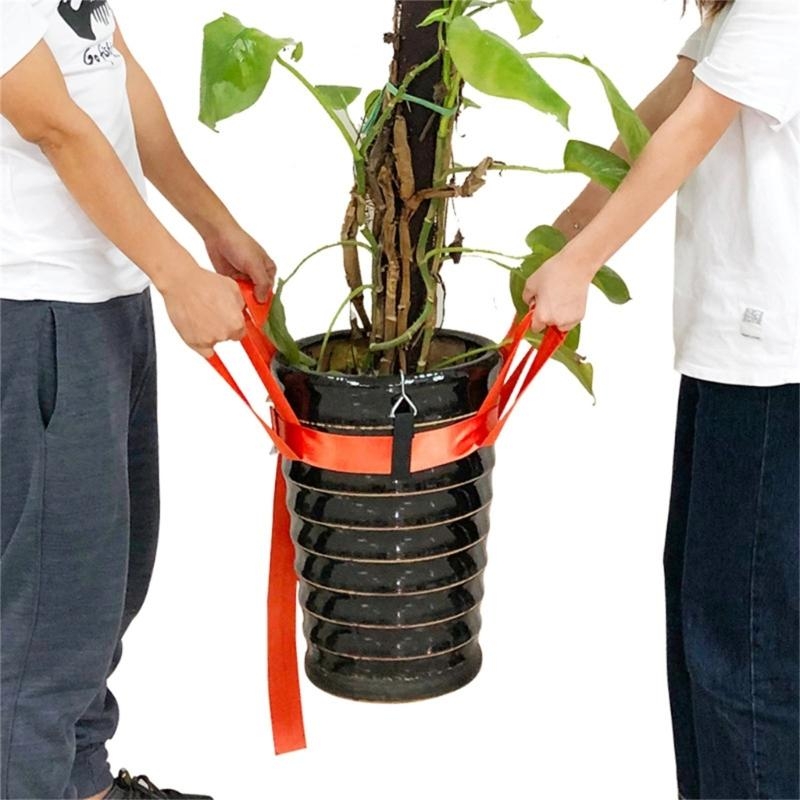 Ingemaakte plantenverhuizing p - Heavy Equipment Transporter recensie en prijs
